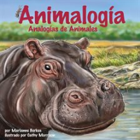 Animalog__a__Analog__as_de_Animales